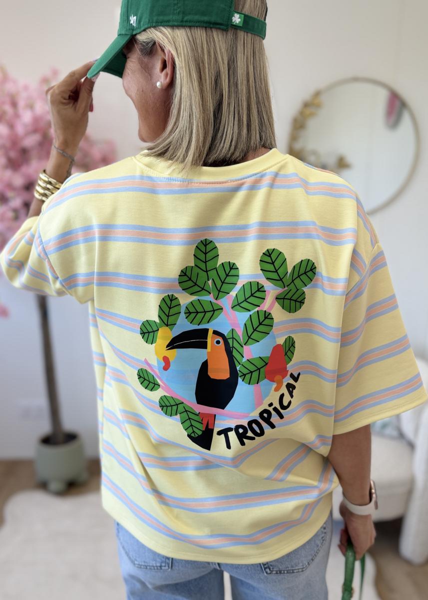 Sweat toucan