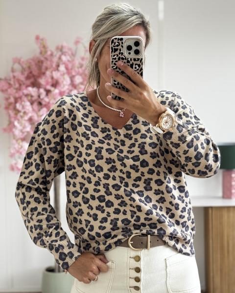 Pull Maxime camel