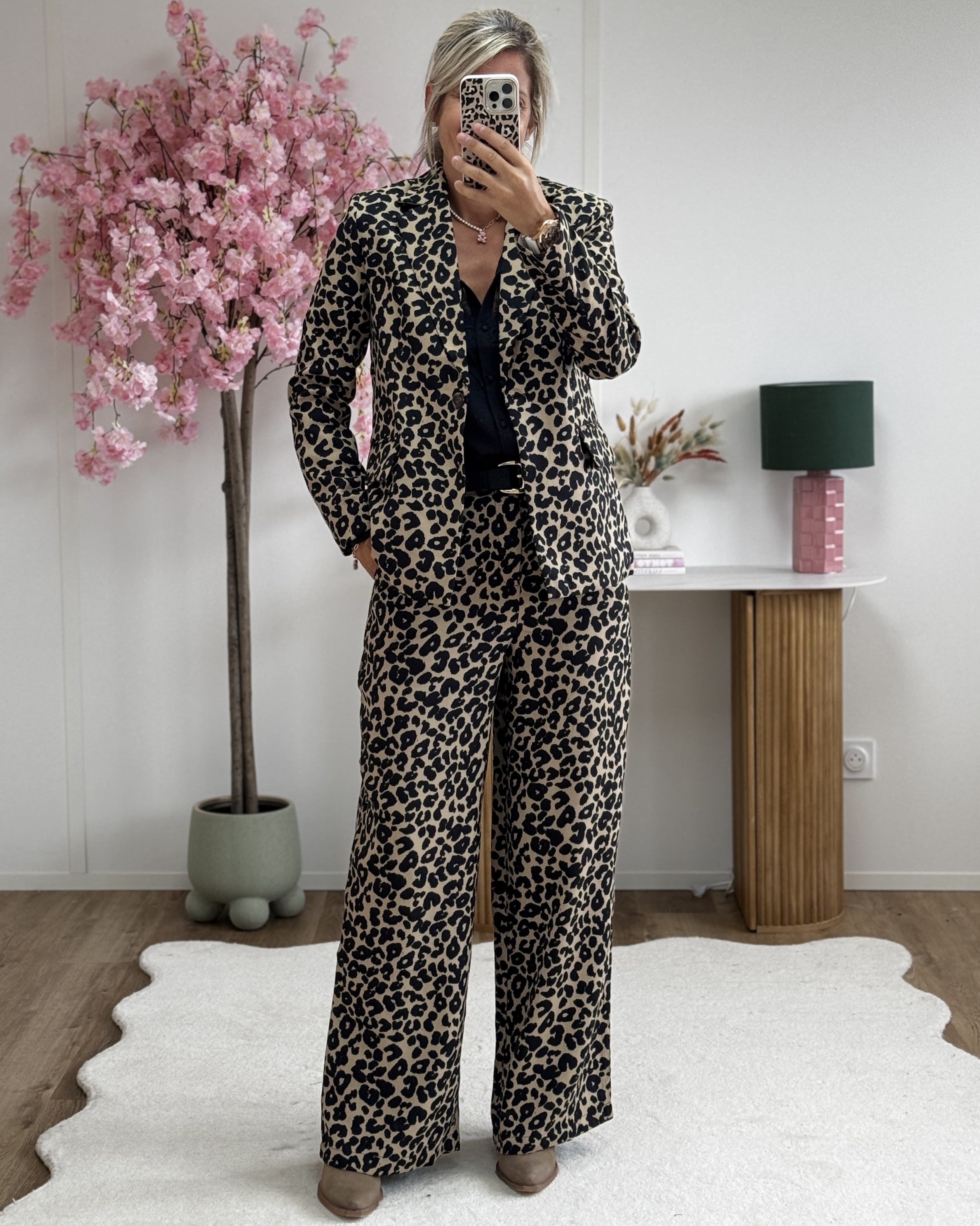 Ensemble Agnes