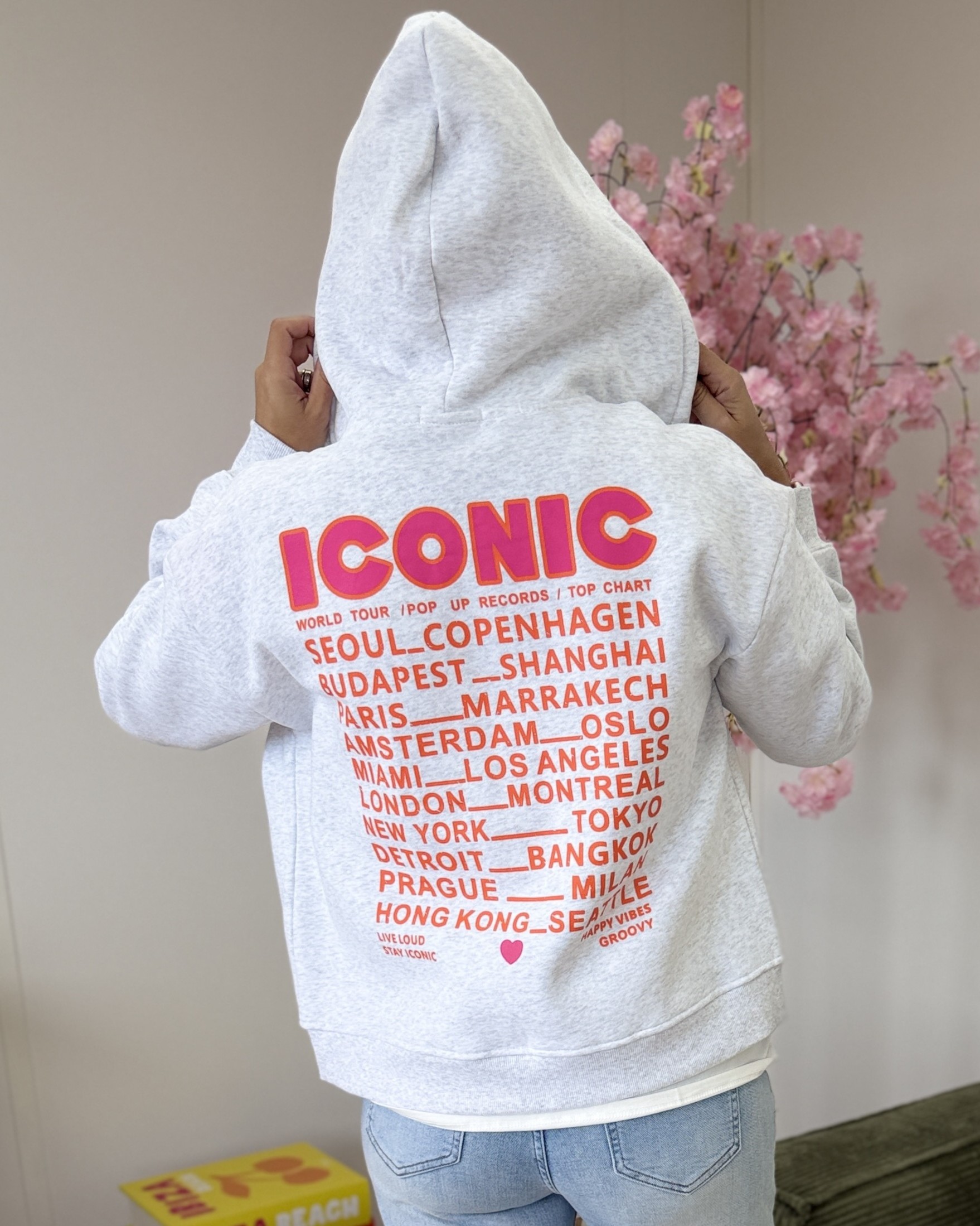 Gilet sweat Iconic gris