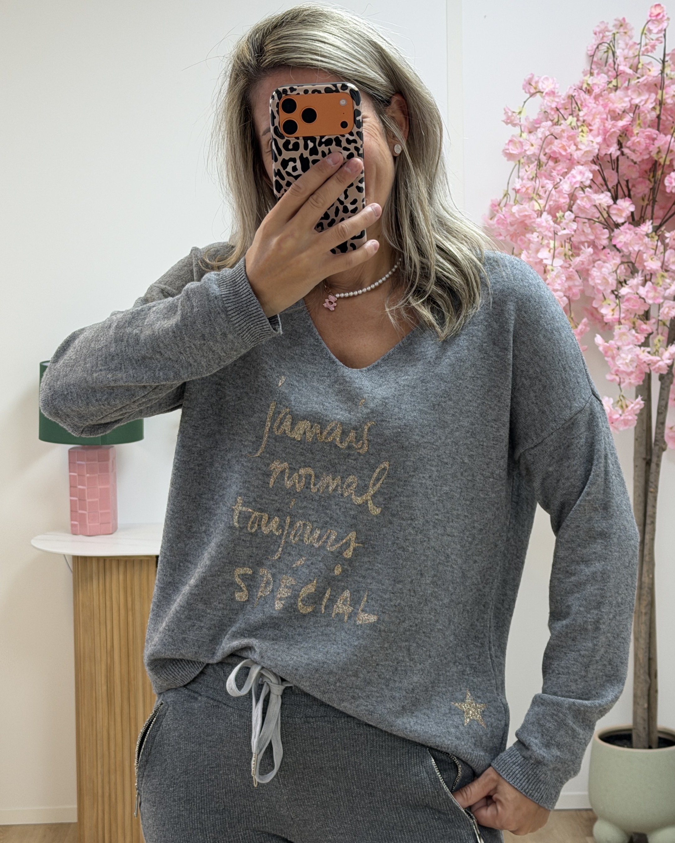 Pull jamais normal gris