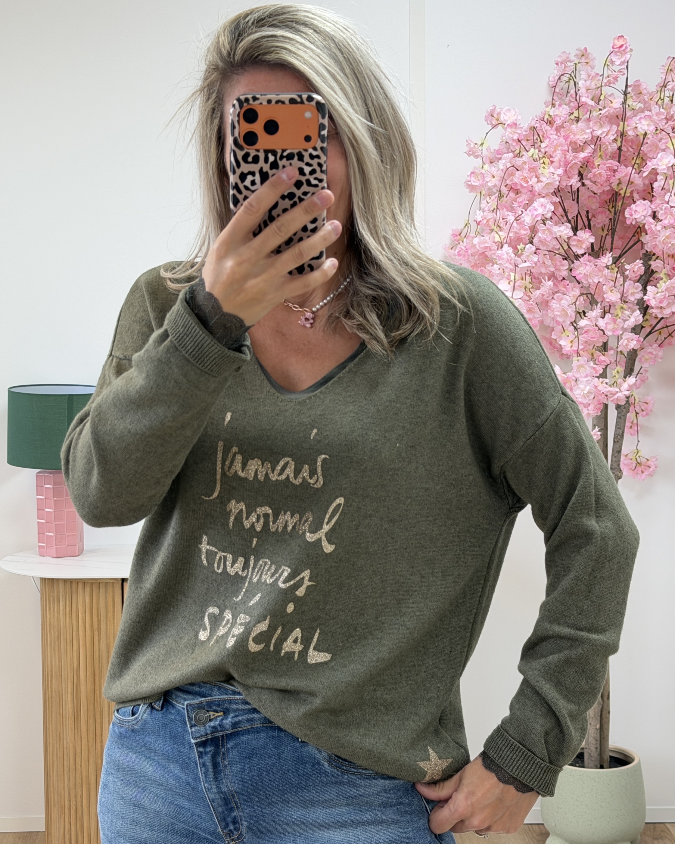 Pull jamais normal kaki