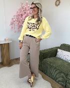 Pantalon Jessie taupe (du 34 au 40)