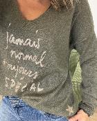 Pull jamais normal kaki