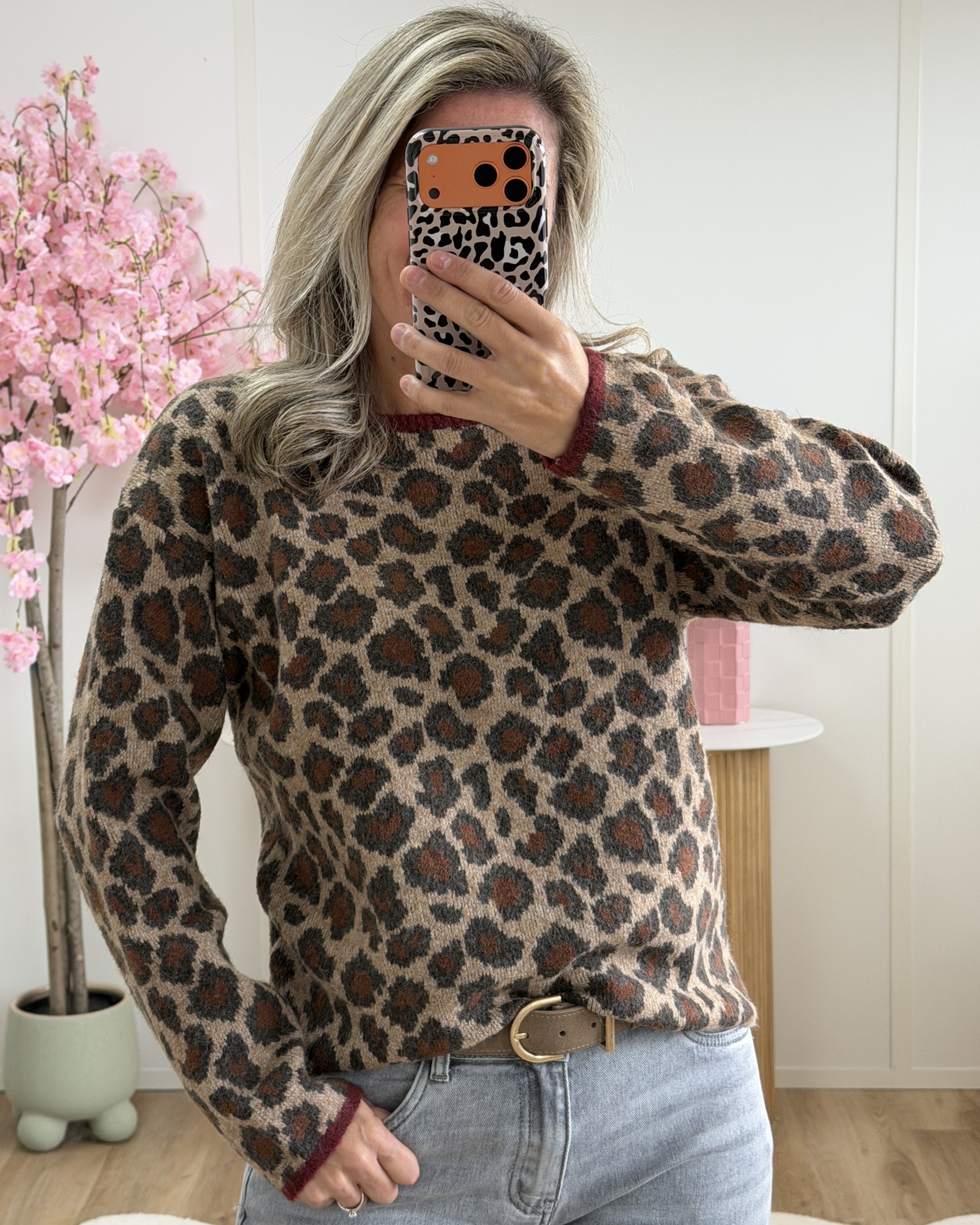 Pull Cassia