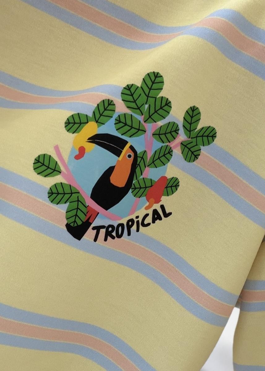 Sweat toucan